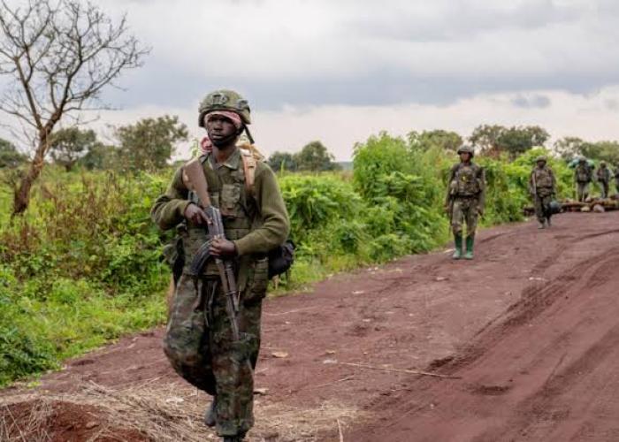 Agression de la RDC par le Rwanda : Un impact socio-économique sur la population du Nord-Kivu