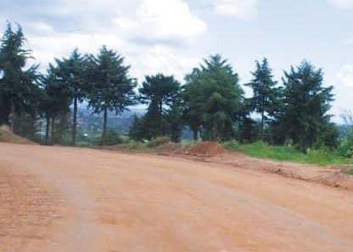 La RN 27, nouvelle ouverture économique dans l'Est de la RDC