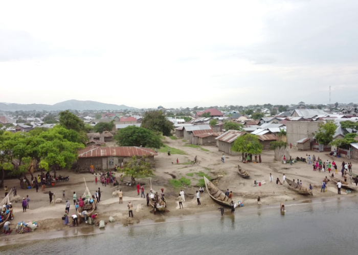 La divagation des bêtes déplorée à Djugu et Irumu