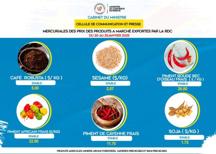 Diversification économique et évolution des prix des produits stratégiques