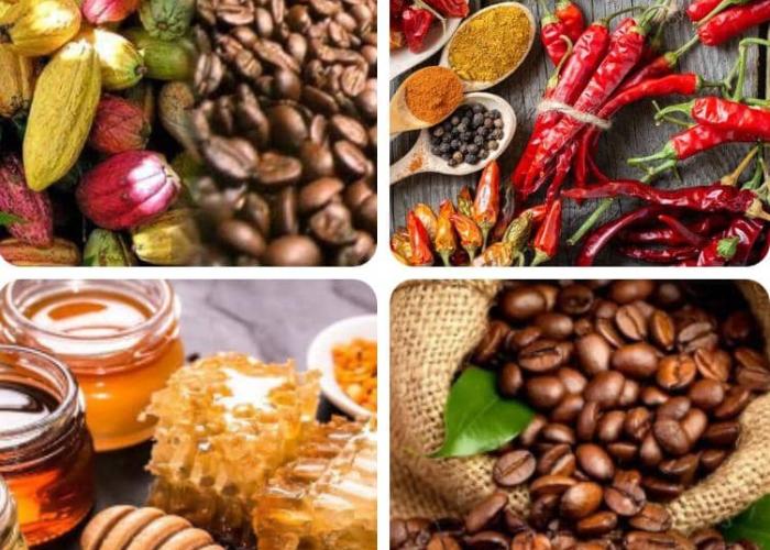 Les Café, Cacao le piment et le miel Congolais certifiés meilleurs sur les marchés européens 
