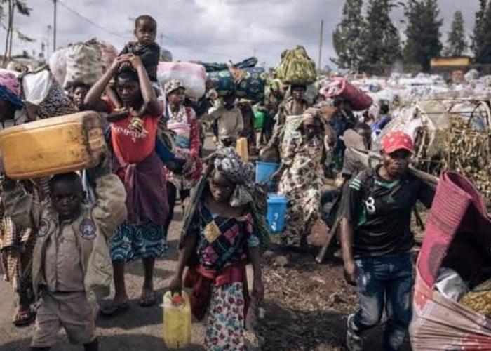 Crise humanitaire aiguë dans l'Est de la RDC, Joëlla Sambo appelle à une action Coordonnée