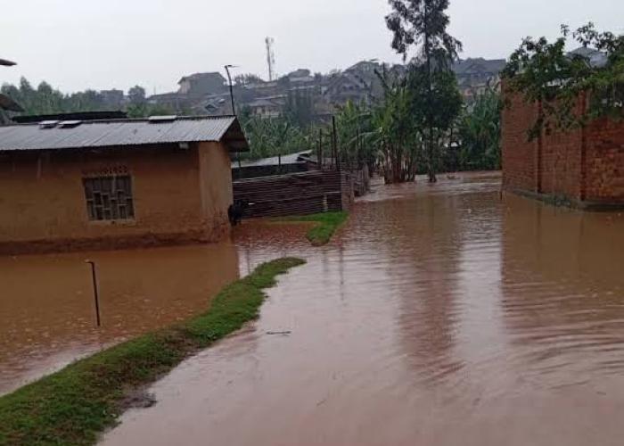 Intempéries à Butembo : une pluie torrentielle cause des dégâts majeurs et fait un enfant noyé