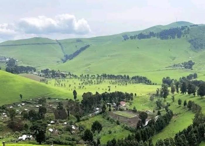 Des déplacements massifs des populations signalés à Masisi