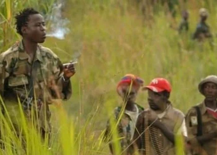 Huit civils tués en quatre jours dans des attaques ADF à Lubero
