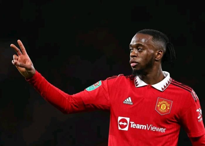 Arrivée du défenseur Aaron Wan-Bissaka dans la tanière, un choix constaté