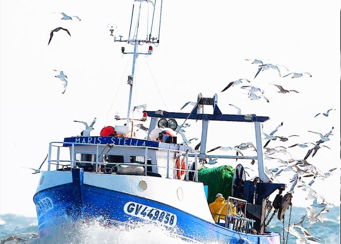 Le gouvernement annonce l'arrivée de huit bateaux de pêche en provenance d'Égypte