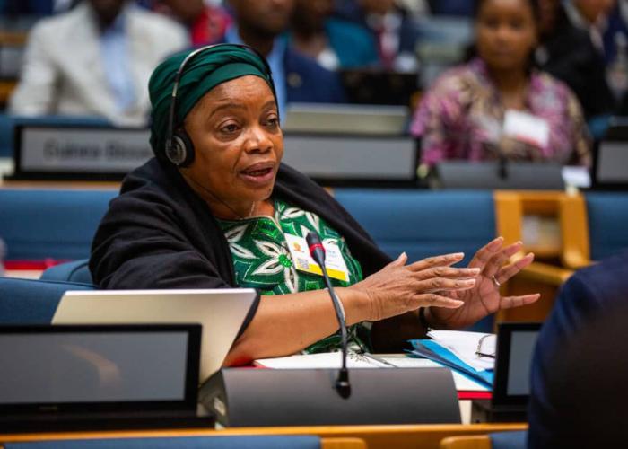 Deux victoires pour la RDC à la 20ᵉ Conférence ministérielle africaine sur l’environnement