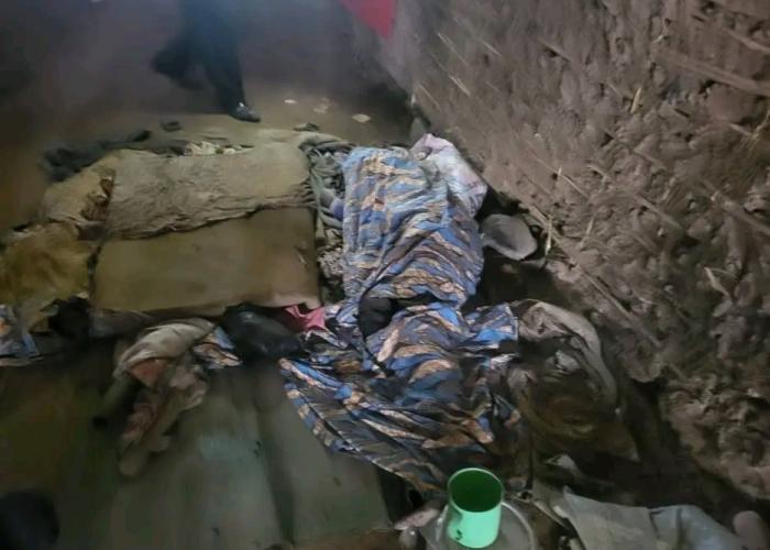 Ituri : plus de 120 morts en six semaines (Société Civile)