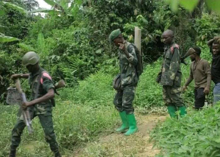Ituri : trois miliciens CODECO abattus lors d’une attaque avortée à Djugu