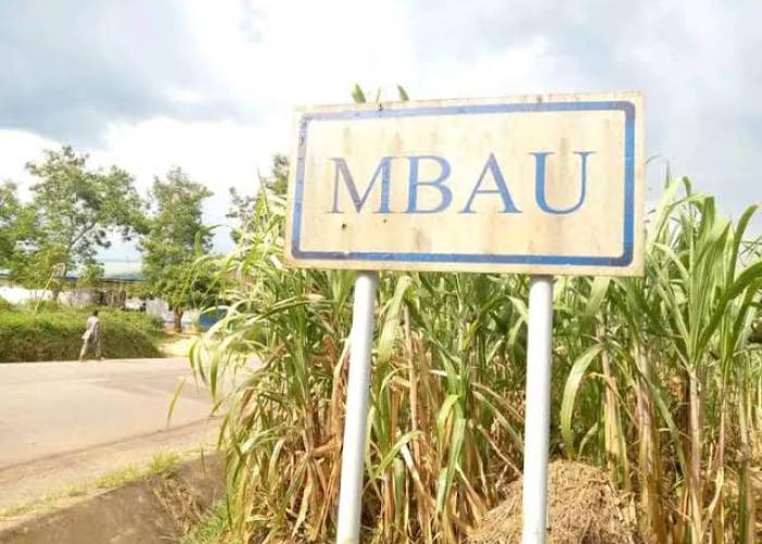 Nord-Kivu : des civils tués dans la forêt Ouest de Mbau en territoire de Beni dans une attaque attribuée à l'ADF